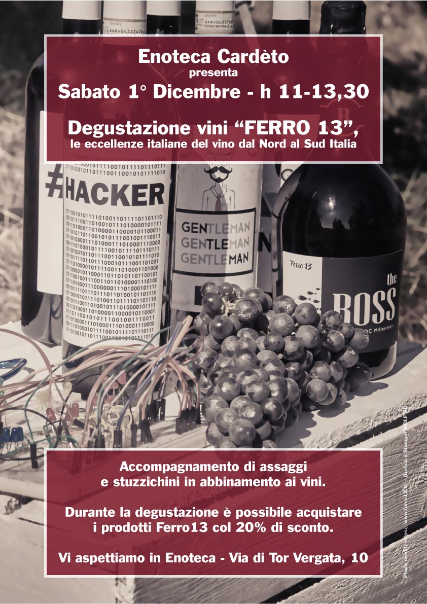 Degustazione di Vini "Ferro 13" in enoteca Cardèto